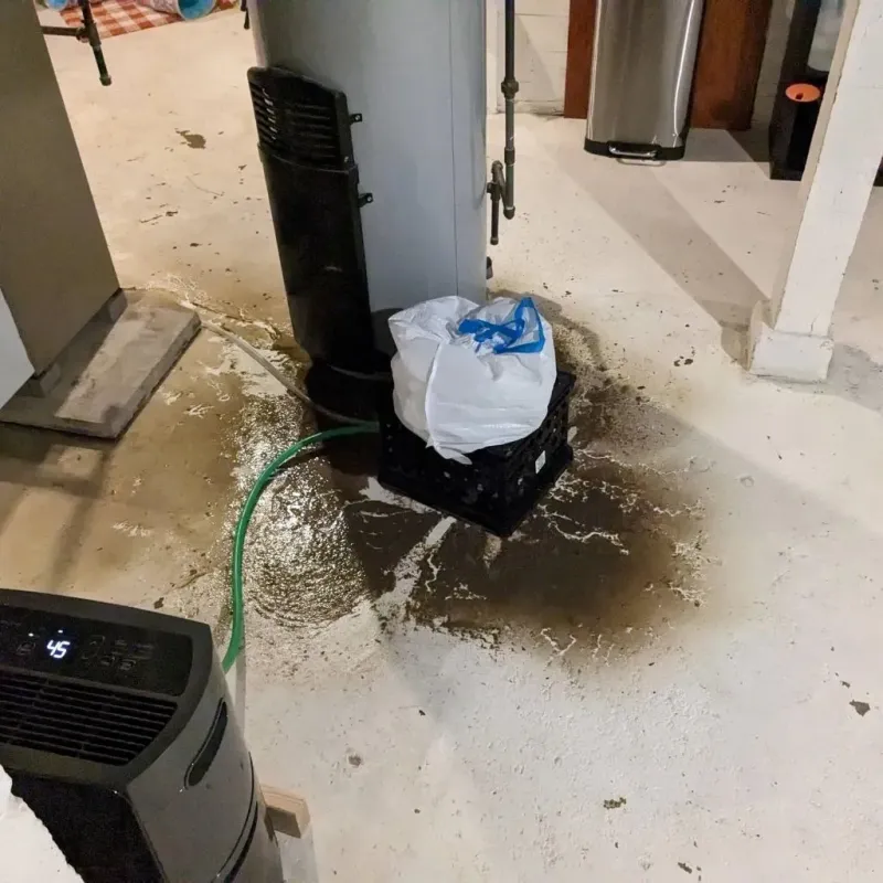 Sewage Backup Cleanup Service in China Grove, TX